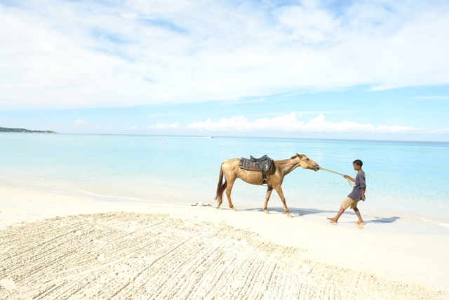       , ,  (Nergil - riding a horse,Negril Jamaica) 